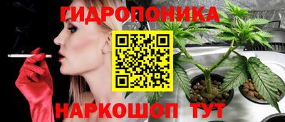 скорость Рязань