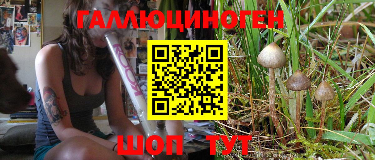 Псилоцибиновые грибы Magic Shrooms Пушкино