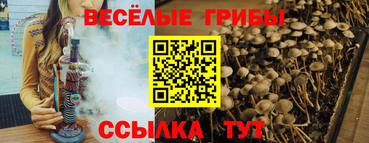 Галлюциногенные грибы ЛСД  Вход с VPN  Псилоцибиновые грибы Magic Shrooms  Пушкино 